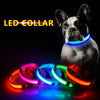 Collier pour chien lumineux - Ninders