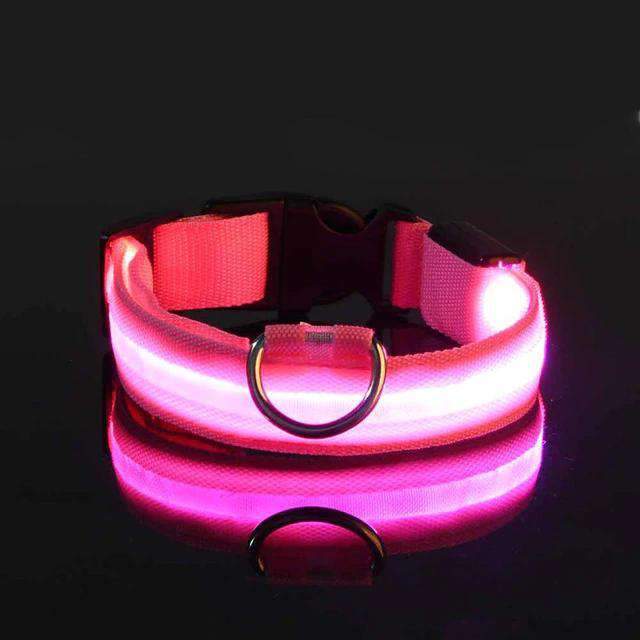 Collier pour chien lumineux - Ninders