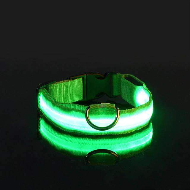 Collier pour chien lumineux - Ninders