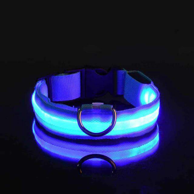 Collier pour chien lumineux - Ninders