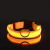 Collier pour chien lumineux - Ninders